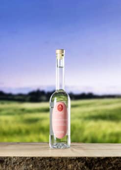 Sasse | Münsterländer Himbeergeist 0,2 ltr 40% vol.