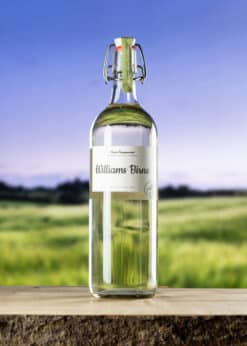 Sasse Alte Williams Birne – Bild 3